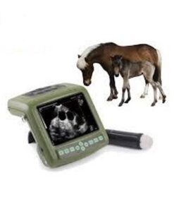 Full digital Mechanical Sector ultrasonic diagnostic instrument