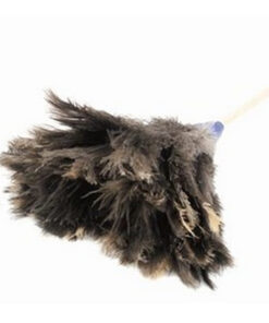 Feather Duster - Genuine Ostrich Feathers - Medium Head - 45cm - Pack of 5 - F9001
