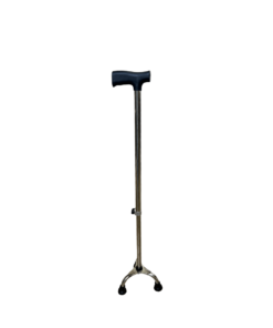 walking stick – tripod