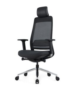 Ergonomic Executive Chair - With Headrest - EEXECWHR